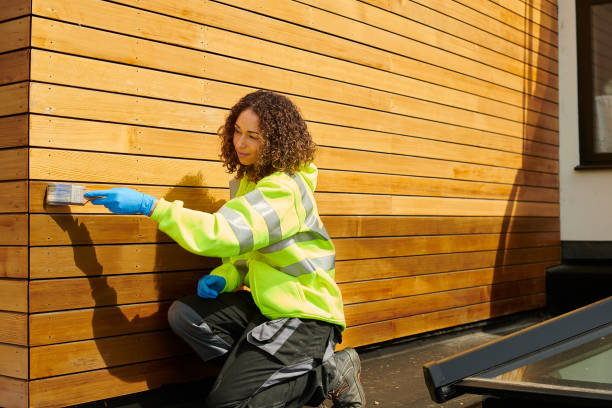 Best Steel Siding Installation  in Louisvle, IL